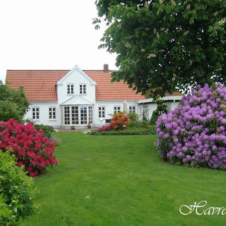 Havrevang บิลลุนด์ ภายนอก รูปภาพ