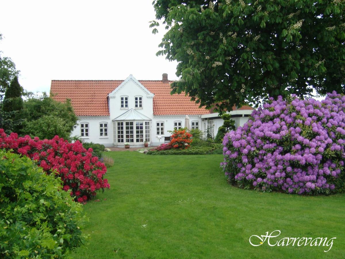 Havrevang บิลลุนด์ ภายนอก รูปภาพ